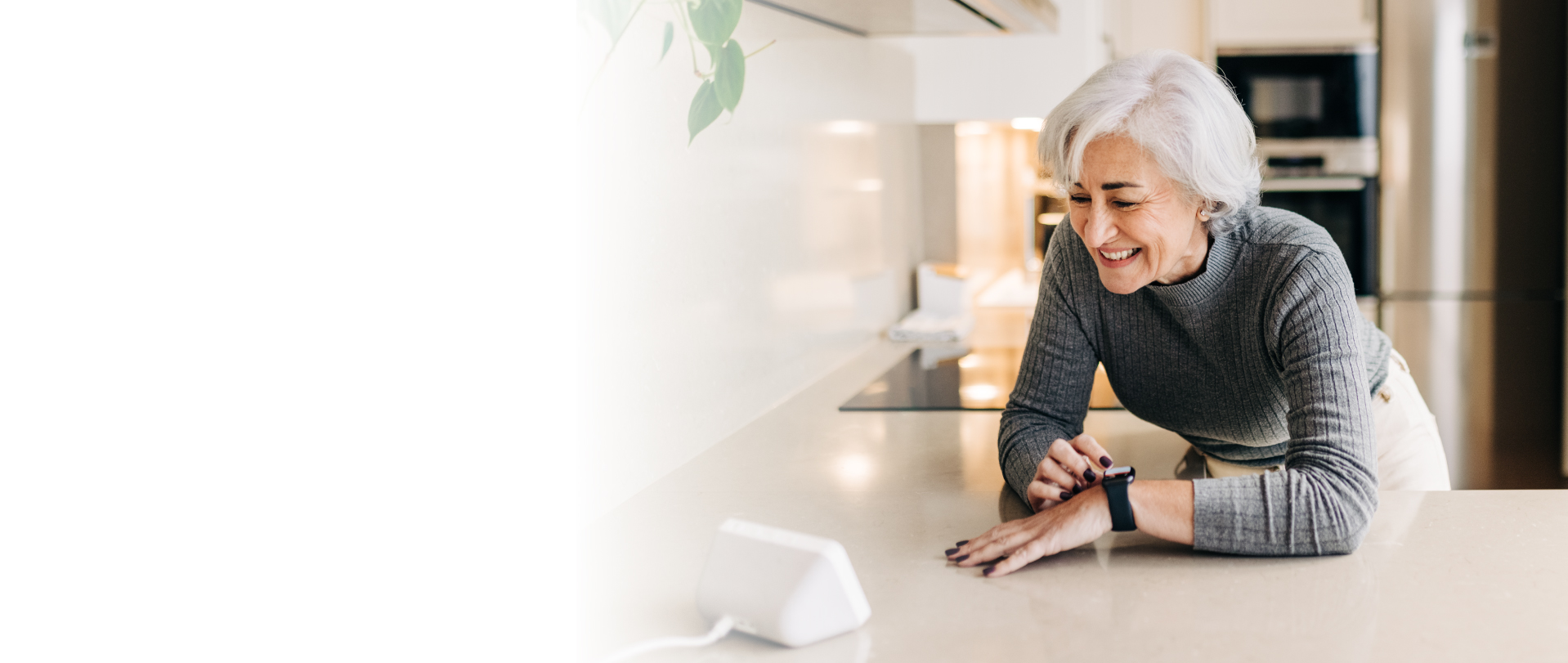 Alexa Voice Banking