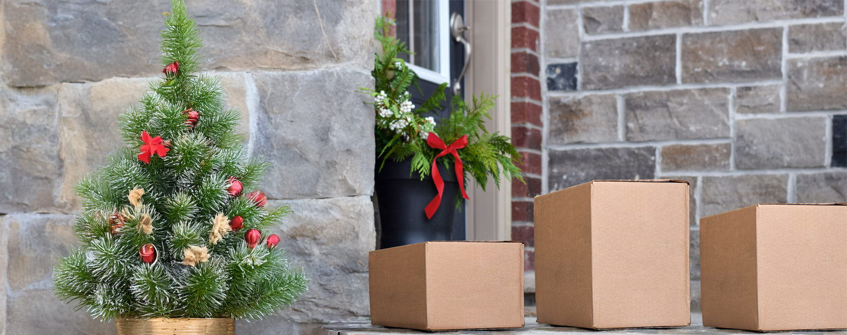 Stay Safe While Shopping Online This Holiday Season