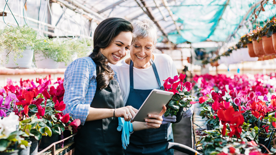 Spring into Growth: Financial Solutions to Help Your Local Business Bloom