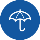Icon 1